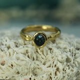 A gold ring with a oval dark blue sapphire, resting on a textured white coral or sponge surface with a blurred background.