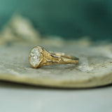 Ancient Coastline Diamond Signet Ring