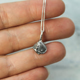 Chesterman Beach Shell