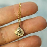 Chesterman Beach Shell