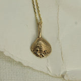 Chesterman Beach Shell