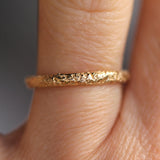 Ancient Coastline Band