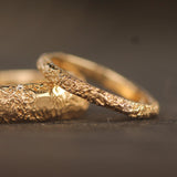 Ancient Coastline Band