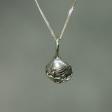 Chesterman Beach Shell