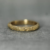 Ancient Coastline Band