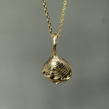 Chesterman Beach Shell