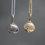 Chesterman Beach Shell