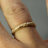 Ancient Coastline Band