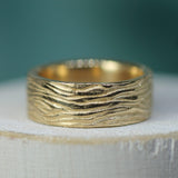 Cathedral Grove Wide Band