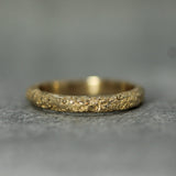 Ancient Coastline Band