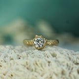 A yellow gold solitaire engagement ring with a round brilliant-cut lab-grown diamond set in a oceany bubbles, resting on textured white coral with a soft teal background.