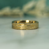 Cathedral Grove Band