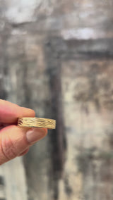 Cathedral Grove Band