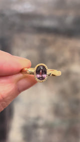 Sienna Sapphire Ring