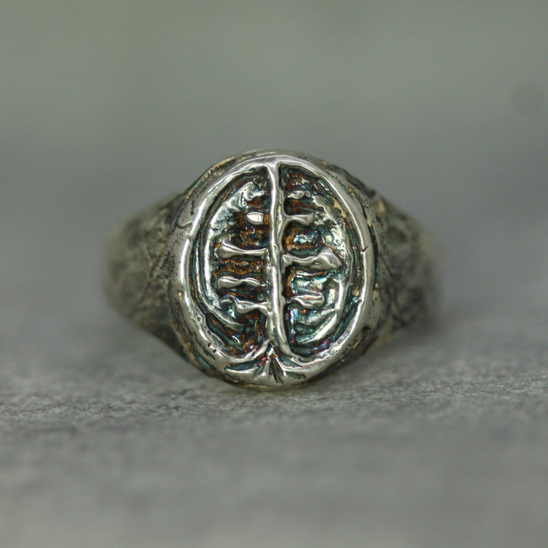 Ancient Roots Signet Ring – Emma Glover Designs