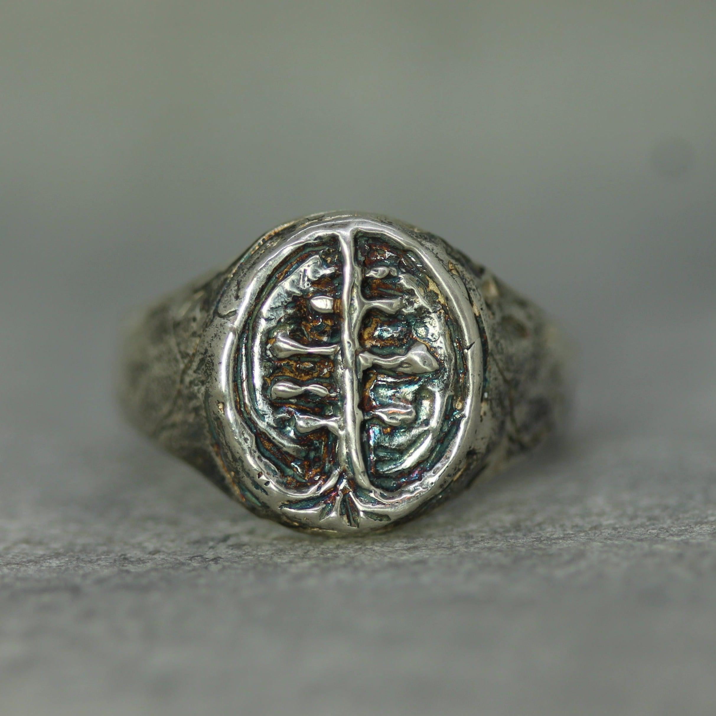 Ancient Roots Signet Ring – Emma Glover Designs